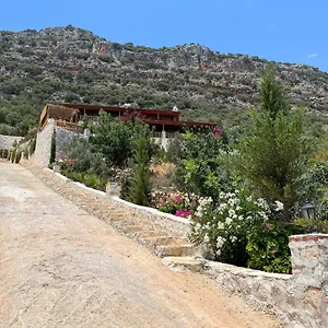  Guest house Istlada Tas Ev Apart - Kekova View Turkey